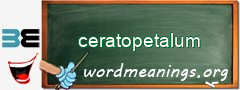 WordMeaning blackboard for ceratopetalum